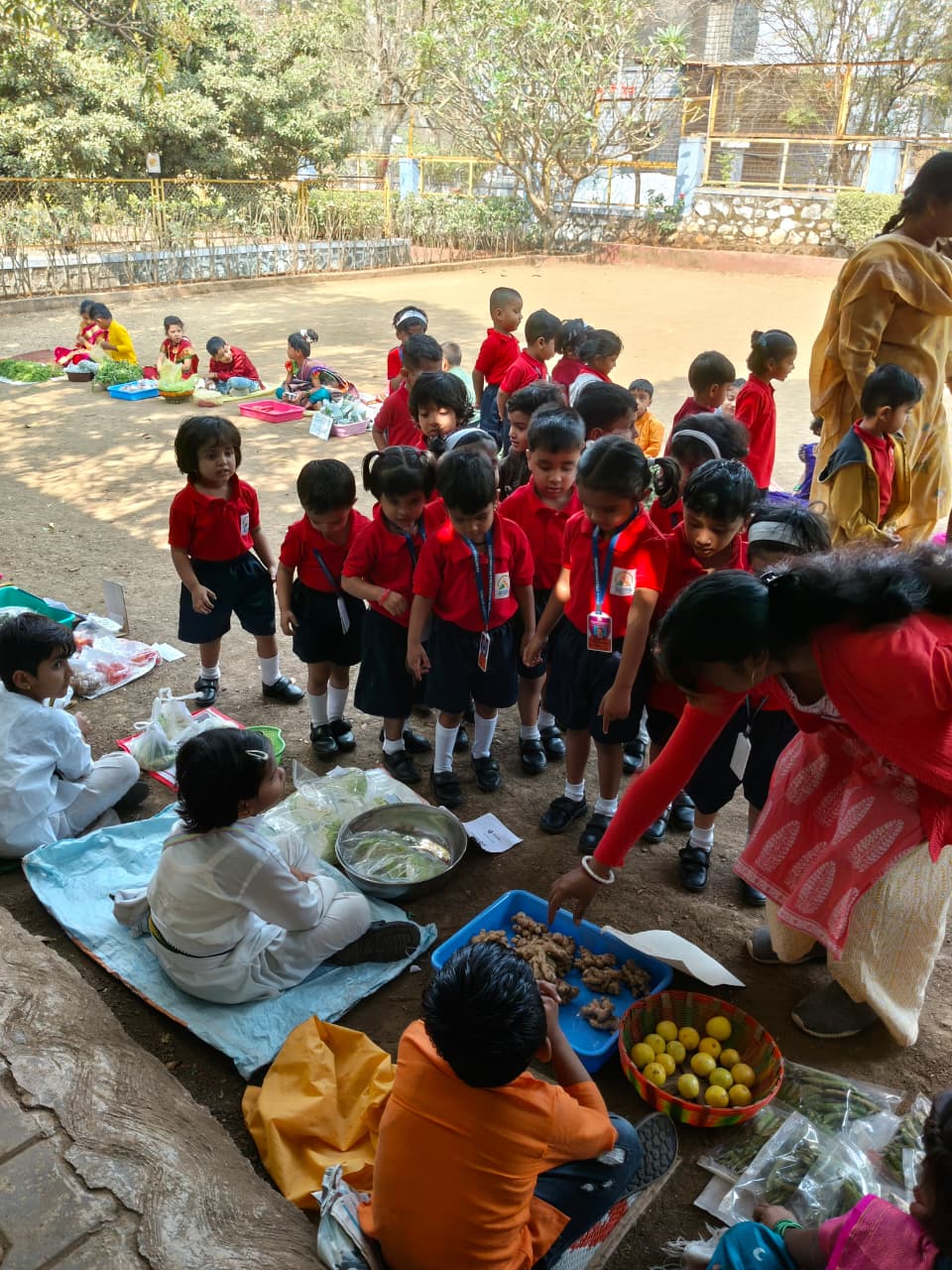 School Activities 6